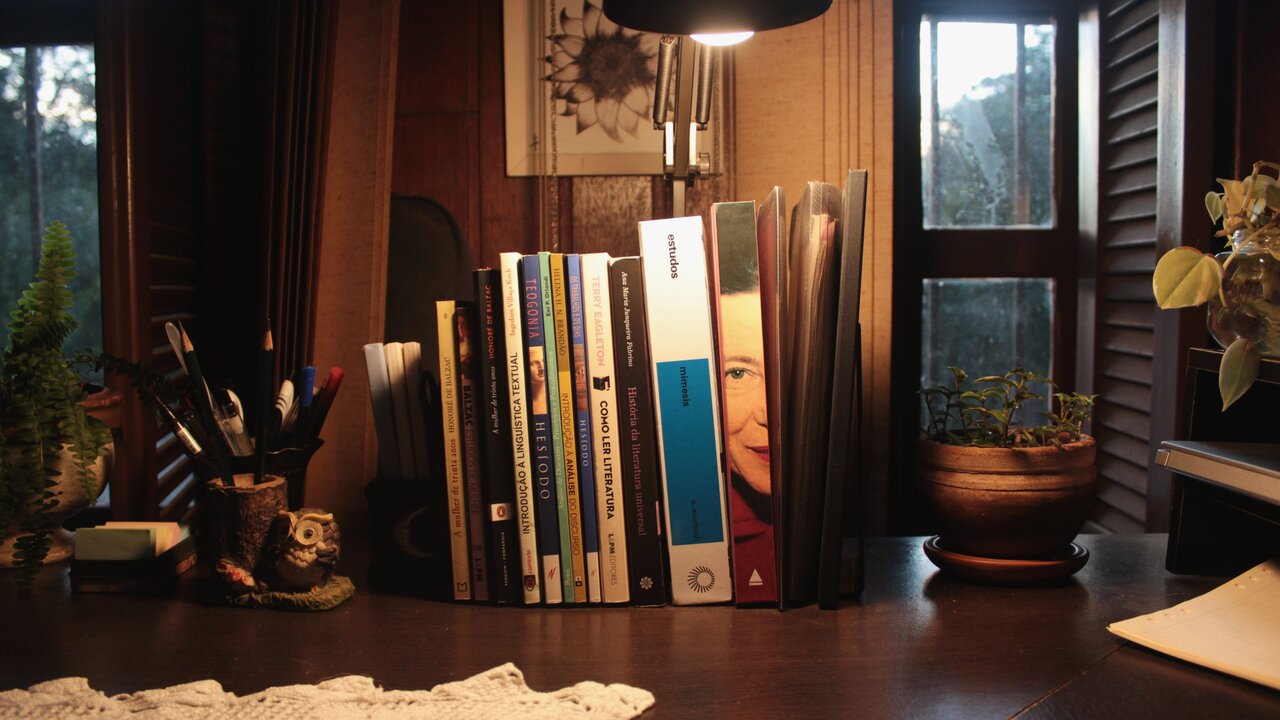 Livros enfileirados em cima de uma mesa, com um abajur em cima e janelas ao fundo.